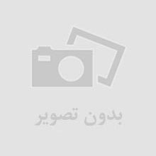 ريموور - پي کريتيو -25 گرم - پودري فله ريموور - پي کريتيو -25 گرم - پودري فله